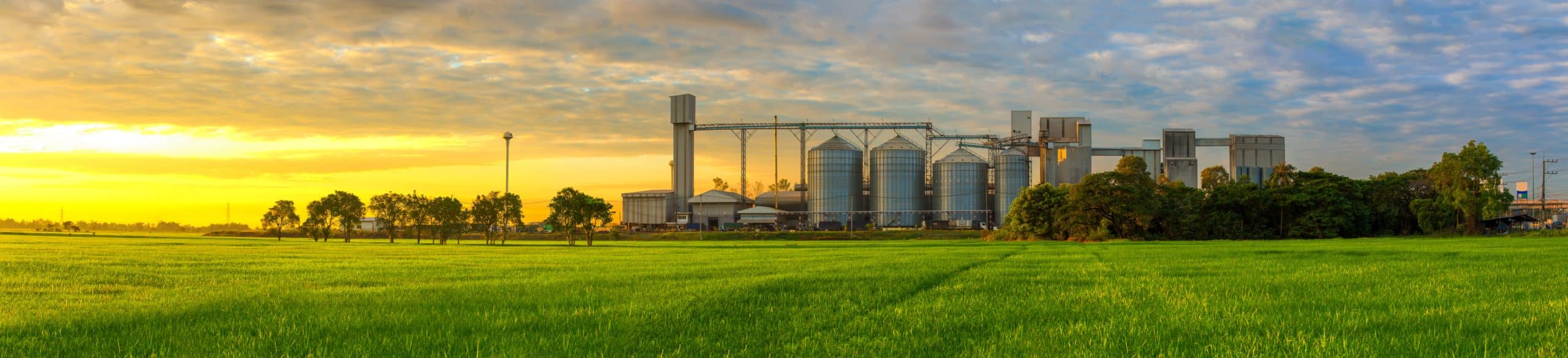 From Farm to Fork, water is present all the way. And so is Kurita.
