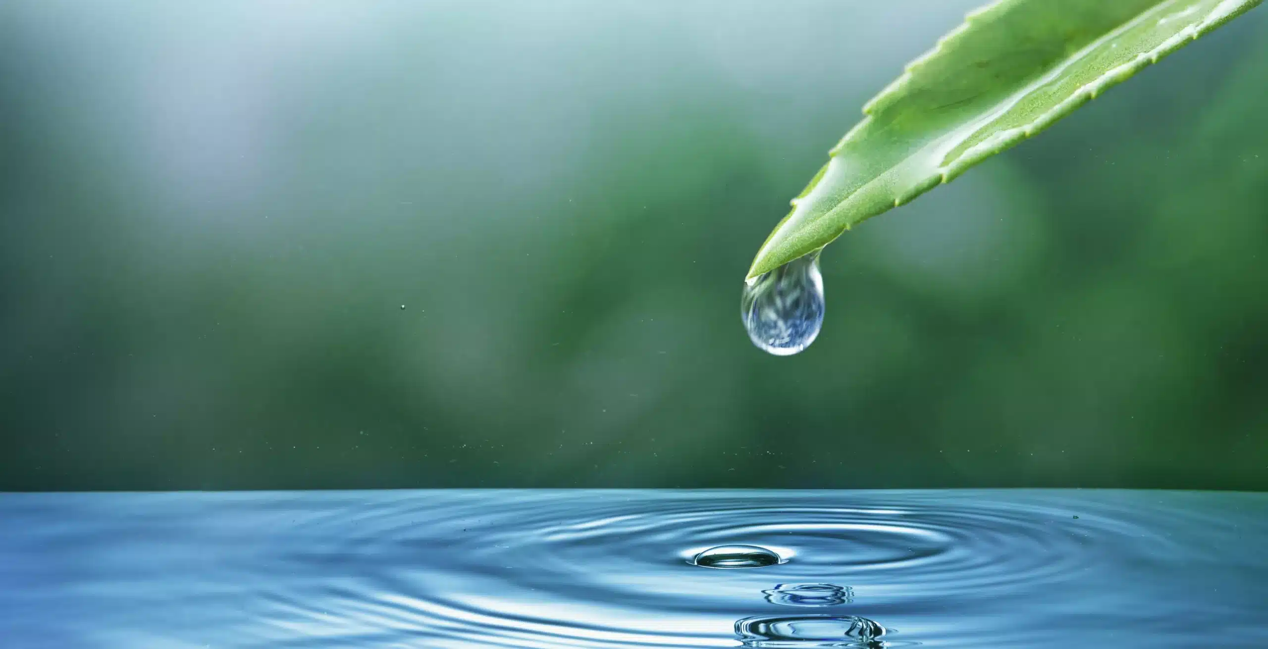Solve issues related to water resources using Fracta