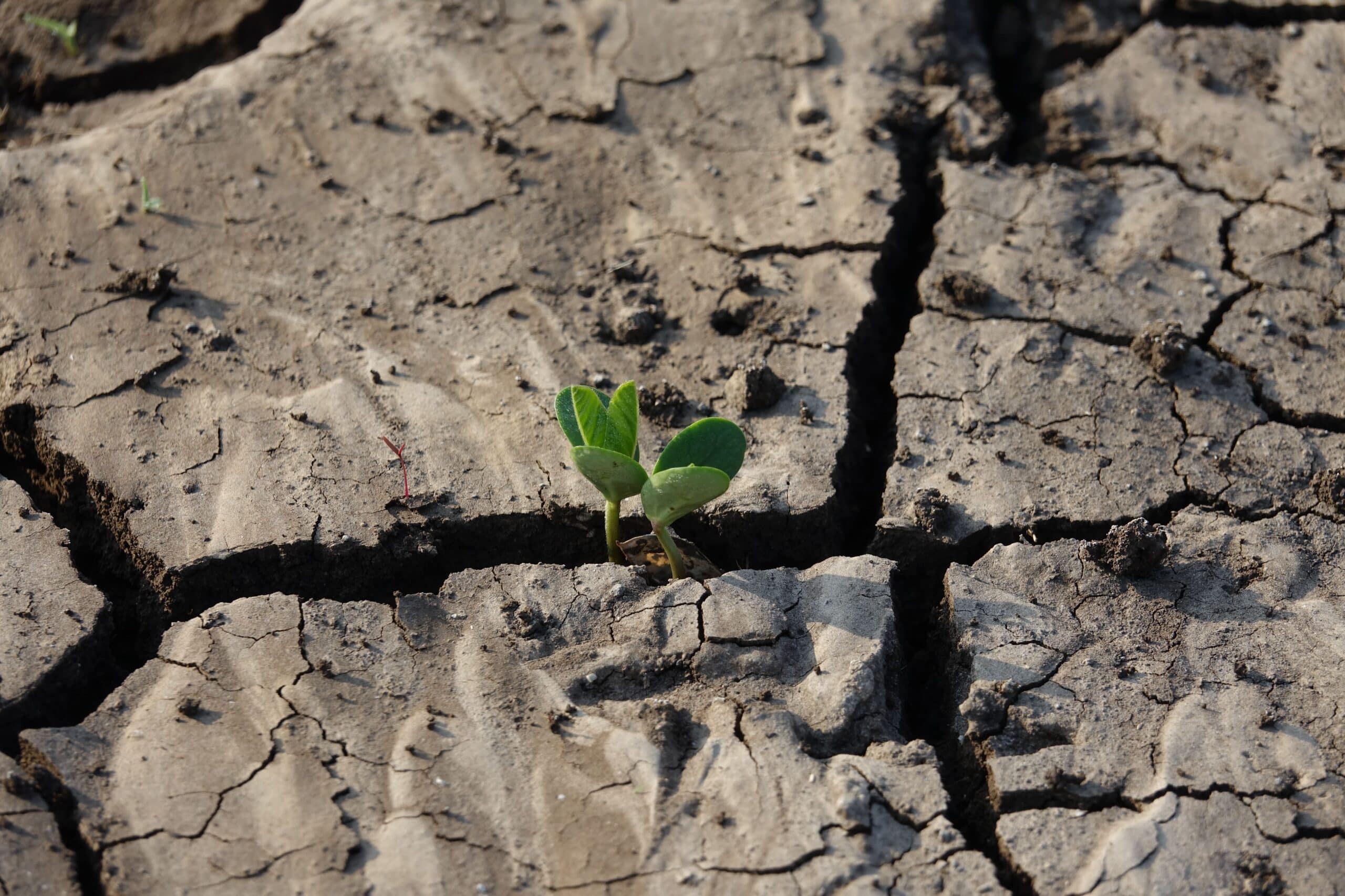 Overcome Water Challenges with Fracta, Our ML Leak Prediction Tech