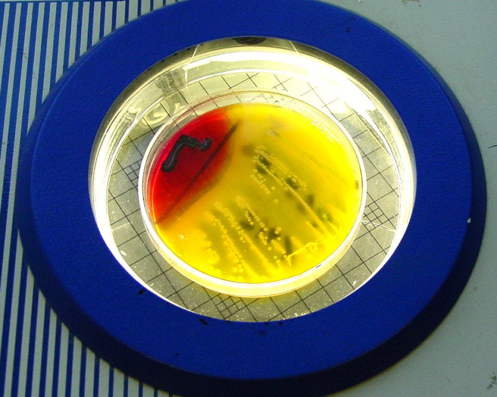 mibi_Rainer-Haug-2.jpg